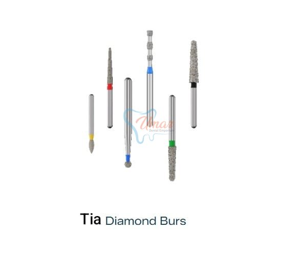 WhatsApp Image 2026-01-10 at 10.22.02 PM